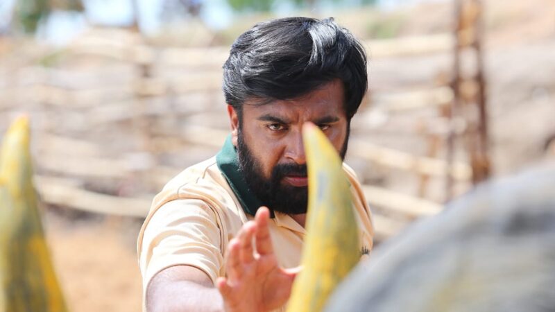 நவ-25ல் வெளியாகும் சசிகுமாரின் ‘காரி’!