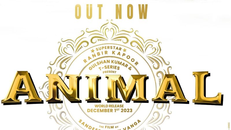 டெல்லி தெருக்களை அதிர விட்ட அனிமல் படக்குழு!