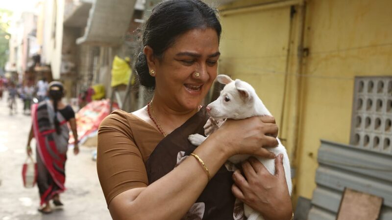 குடும்ப உறவுகளின் அழகான கதையை சொல்லும் ‘ஜெ பேபி’ . மகளிர் தினத்தில் வெளியாகிறது!