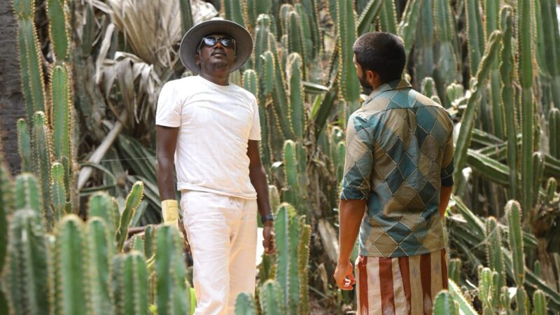 பதற்றமான தென்தமிழகத்து* *இளைஞர்களில் தப்பிப்பிழைத்த இளைஞர்களின் கதைதான் “பைசன்”!